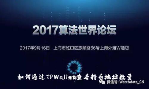 如何通过TPWallet查看持币地址数量