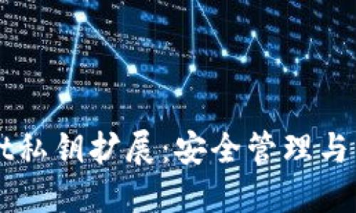 TPWallet私钥扩展：安全管理与用户指南